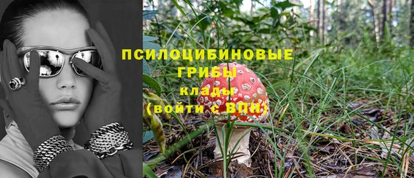 соль курить ск Алексин